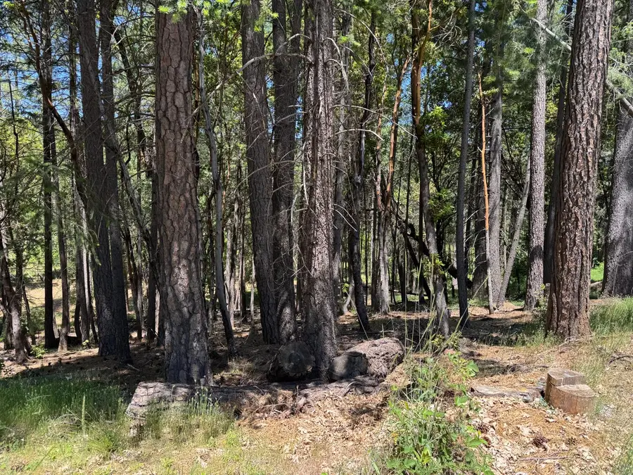 20955 Todd Valley Road, Foresthill, CA 95631 - #2