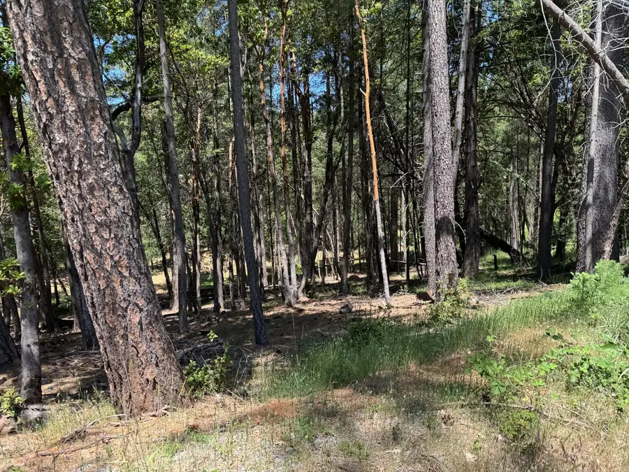 20955 Todd Valley Road, Foresthill, CA 95631 - #3