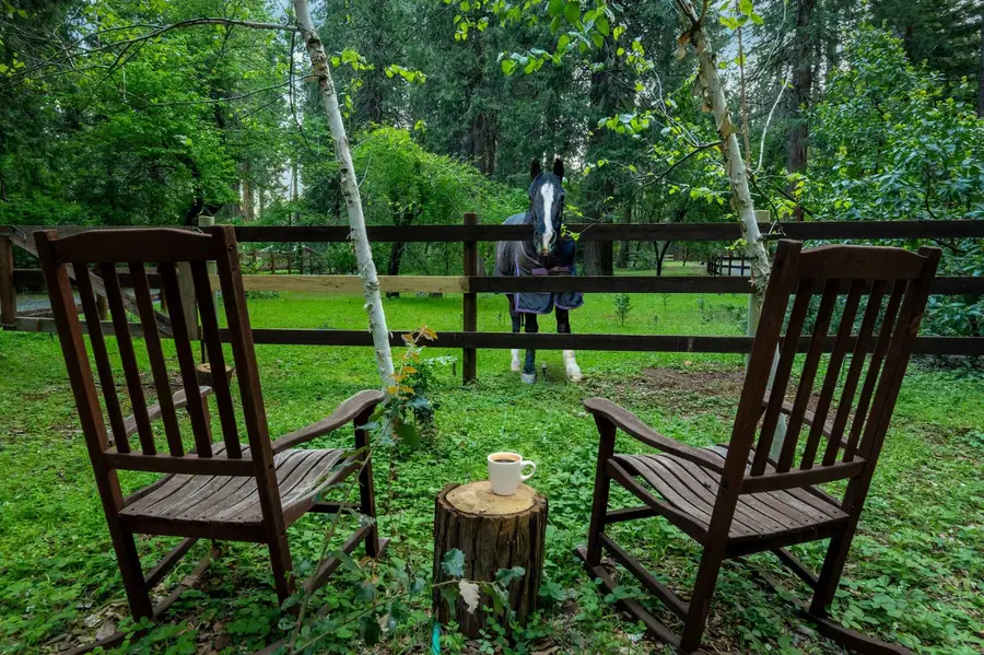 15188 N Bloomfield Road, Nevada City, CA 95959 - #3