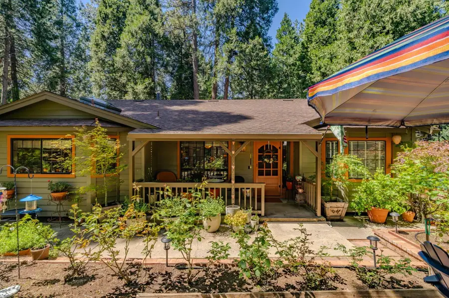 26725 Sugar Pine Drive, Pioneer, CA 95666 - #3