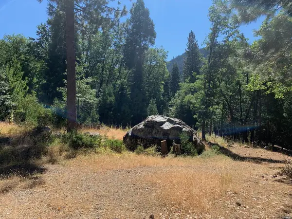 103 Lewis Ln., Sierra City, CA 96125