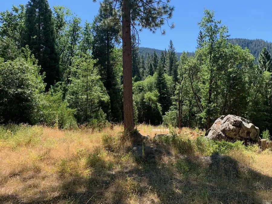 103 Lewis Ln., Sierra City, CA 96125 - #2