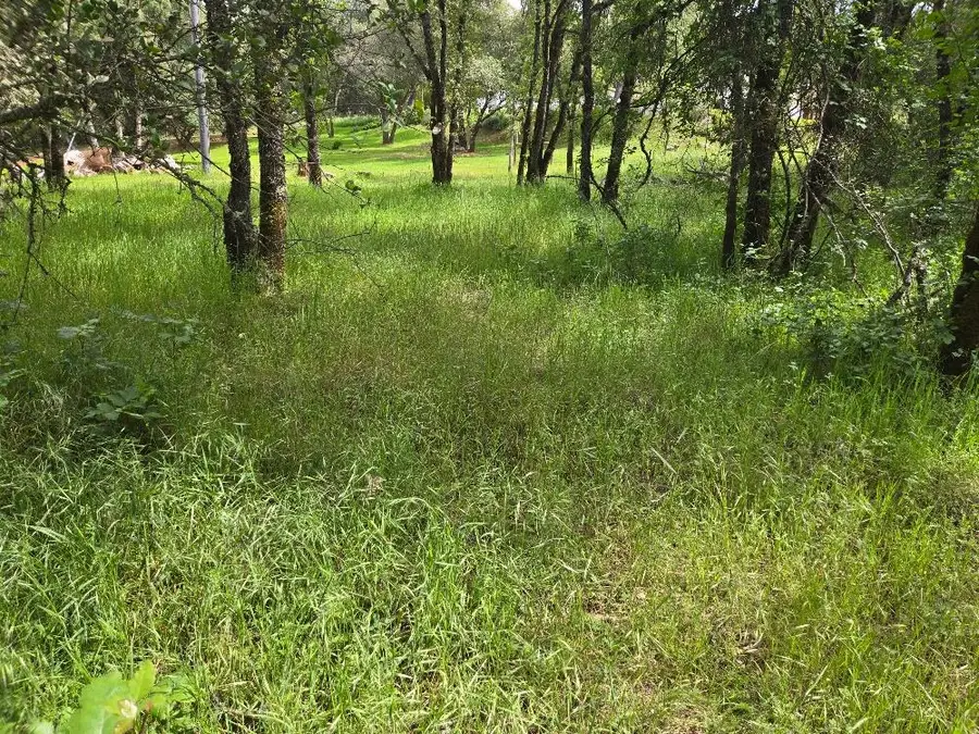 12729 Wolf Road, Grass Valley, CA 95949 - #3