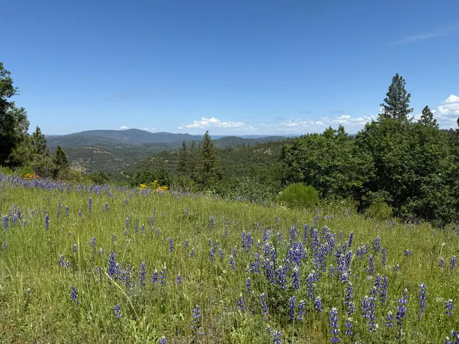 14355 Holland Drive, Nevada City, CA 95959 - #2