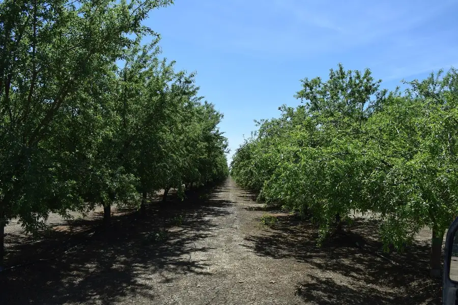 6547 County Road 48, Willows, CA 95988 - #3
