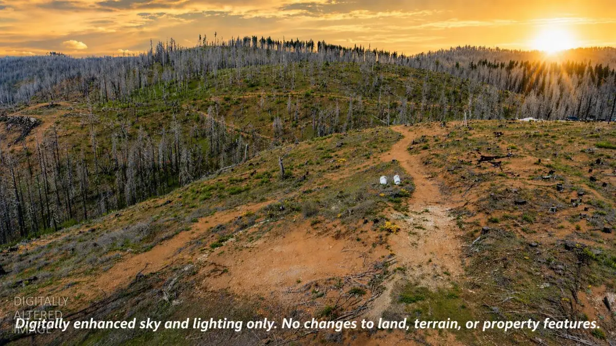 8580 Big Canyon Loop Road, Grizzly Flats, CA 95636 - #1