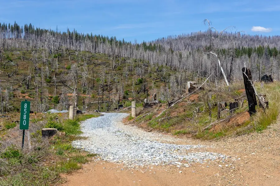 8580 Big Canyon Loop Road, Grizzly Flats, CA 95636 - #3