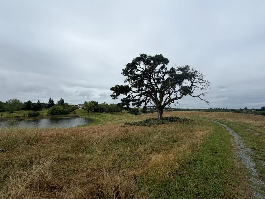 25045 N Mcintire Road, Clements, CA 95227 - #2