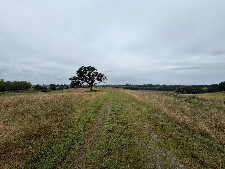 25045 N Mcintire Road, Clements, CA 95227 - #3