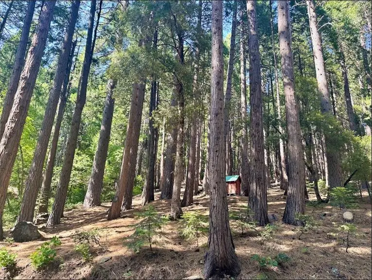 68 Por Lot N Sd Main Street, Sierra City, CA 96125 - #2