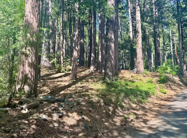 68 Por Lot N Sd Main Street, Sierra City, CA 96125 - #3