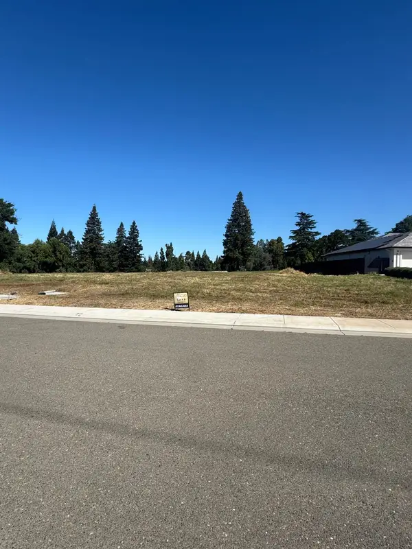 9905 Plaza De Oro Drive, Oakdale, CA 95361