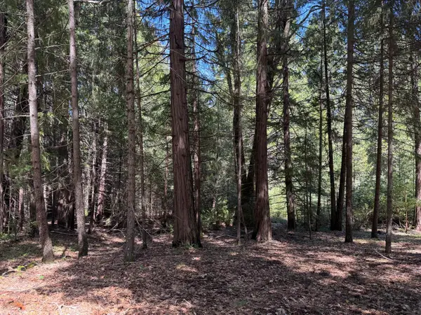 17889 Lightfoot Way, Nevada City, CA 95959