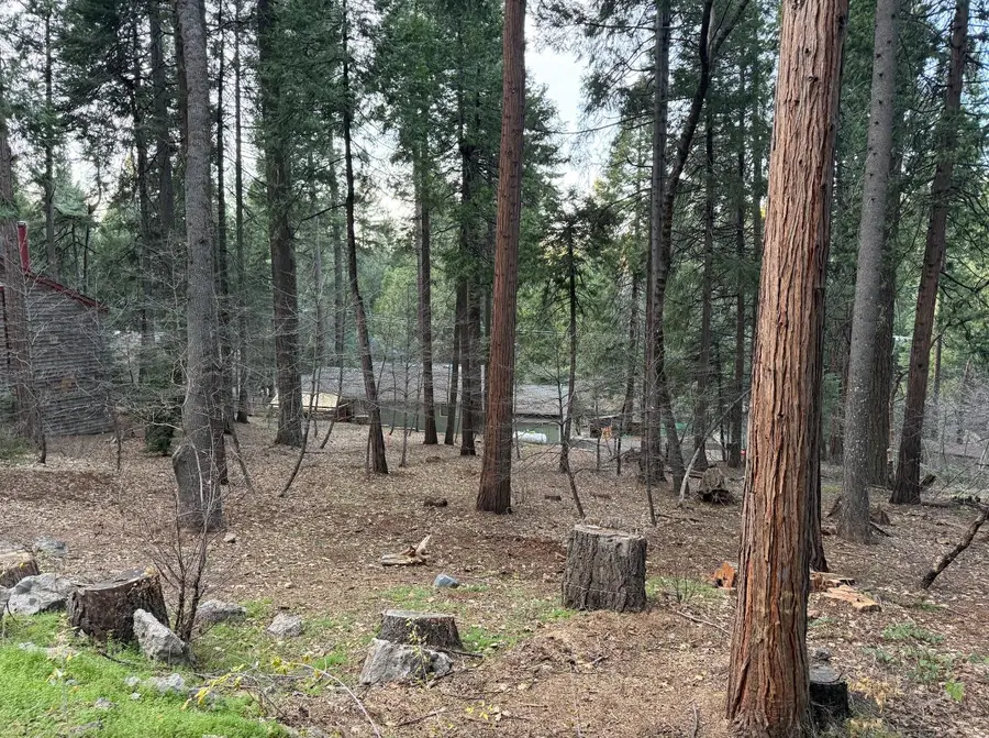 6771 Onyx Trail, Pollock Pines, CA 95726 - #2