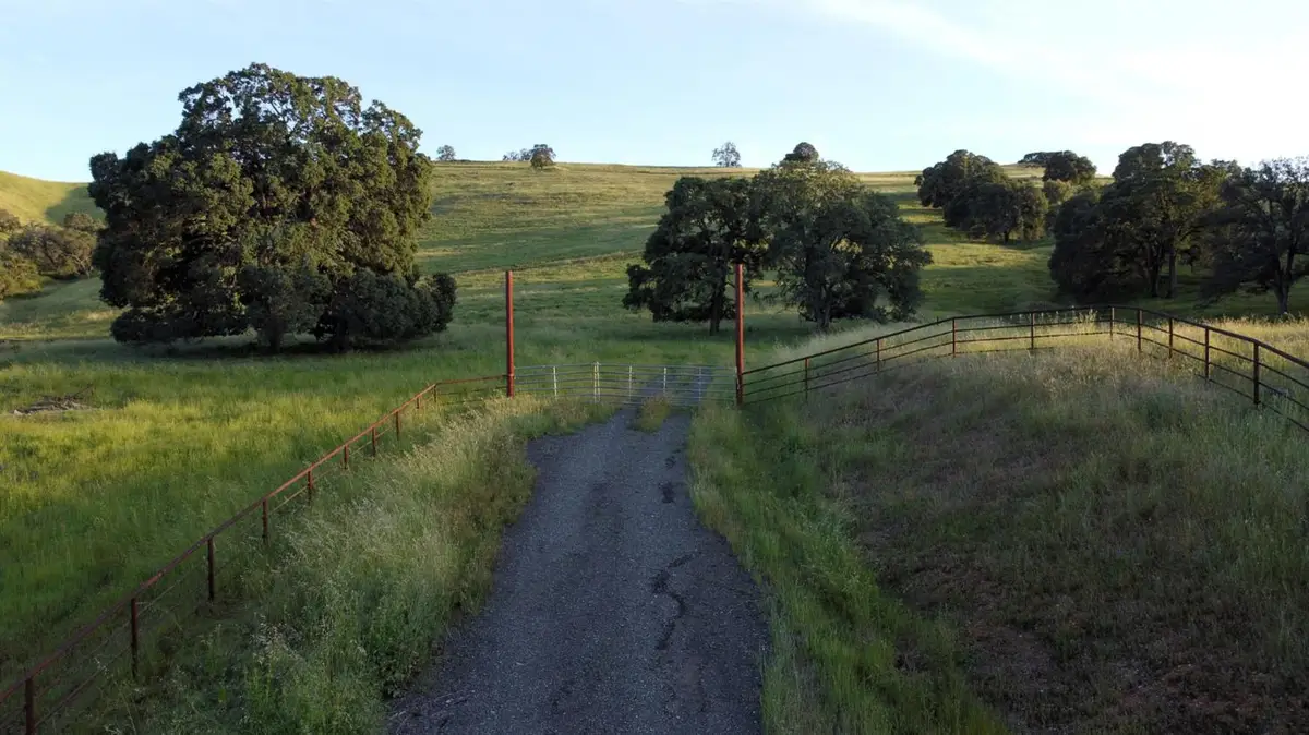 9830 New Chicago Road, Drytown, CA 95699 - #1