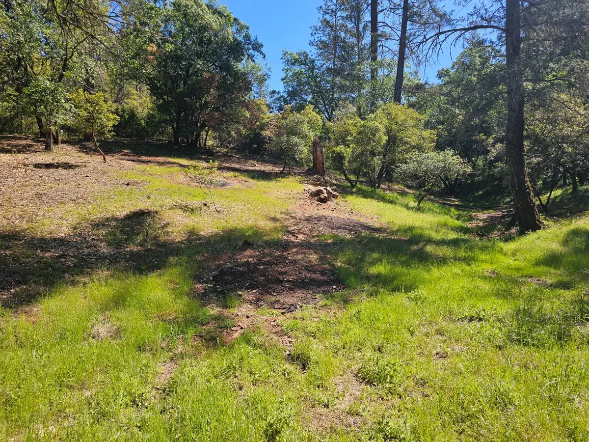19730 Wedemeyer Place, Colfax Monumental Ridge, CA 95713 - #1