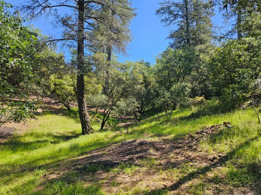 19730 Wedemeyer Place, Colfax Monumental Ridge, CA 95713 - #3