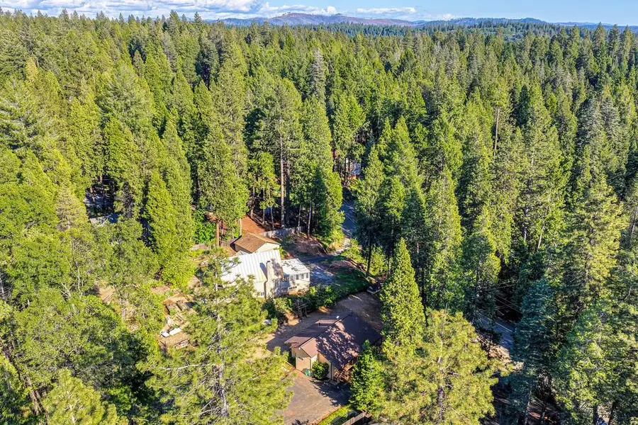 5415 Robert Road, Pollock Pines, CA 95726 - #2