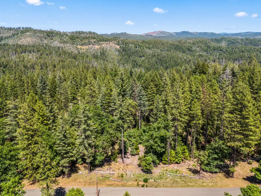 6324 Dickinson Road, Placerville, CA 95667 - #3