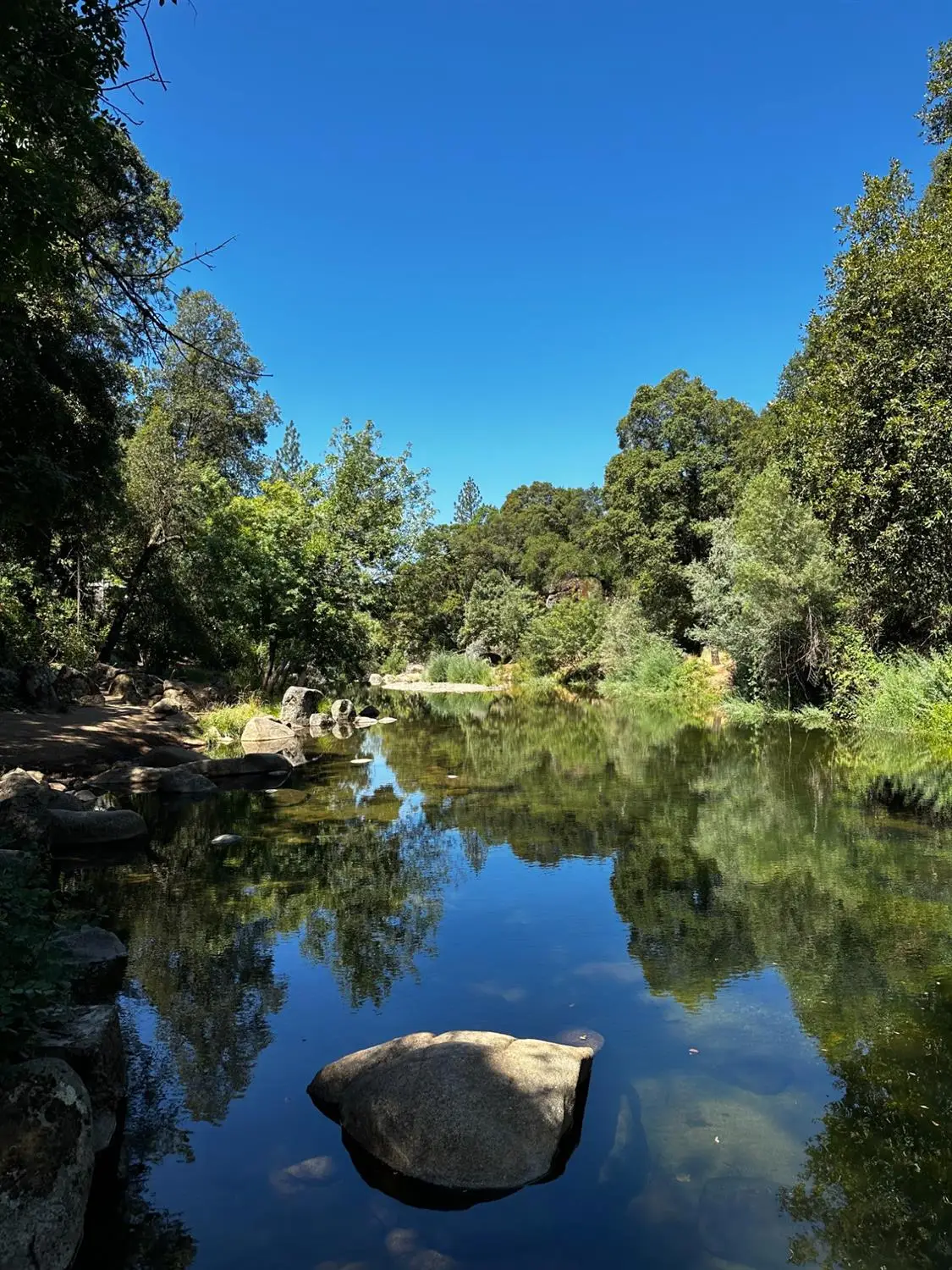 14745 River Trail, River Pines, CA 95675 - #1