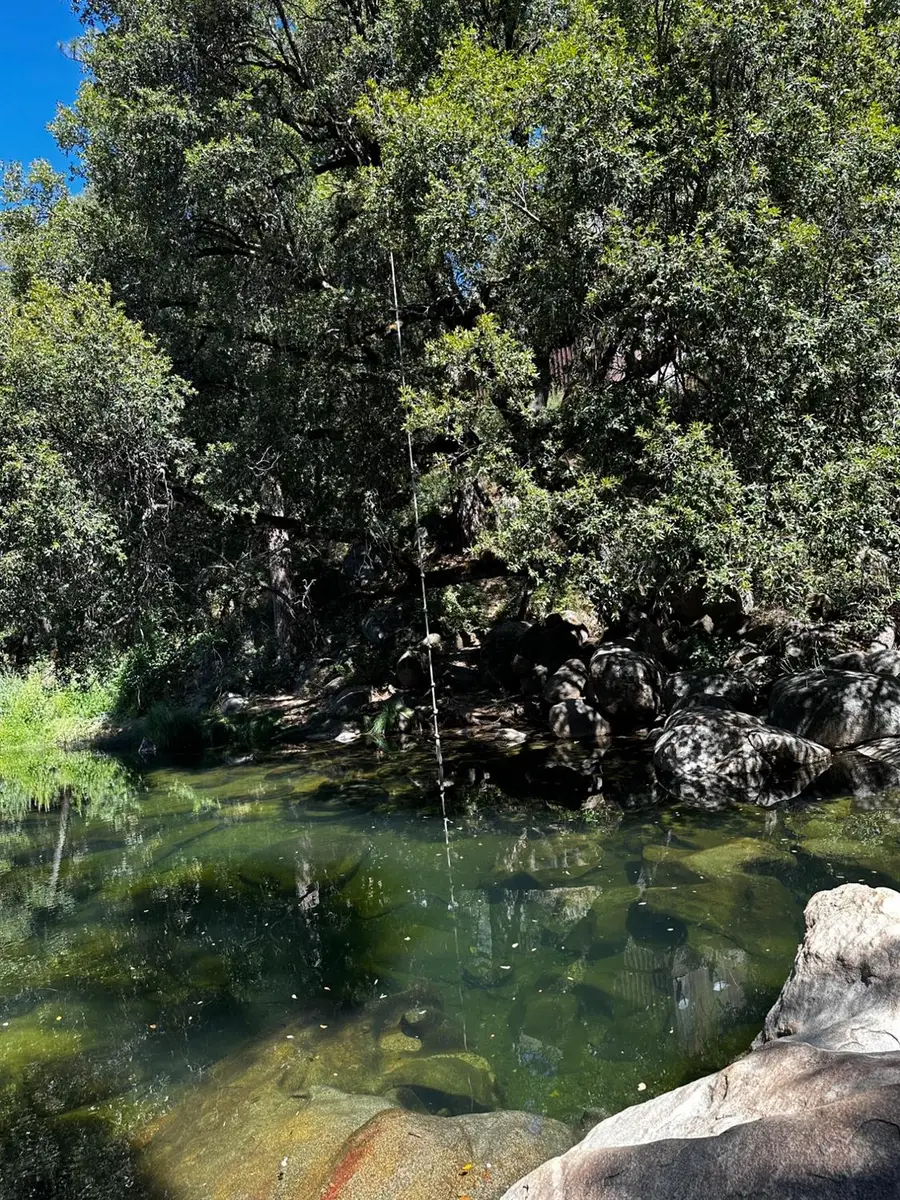 14745 River Trail, River Pines, CA 95675 - #3
