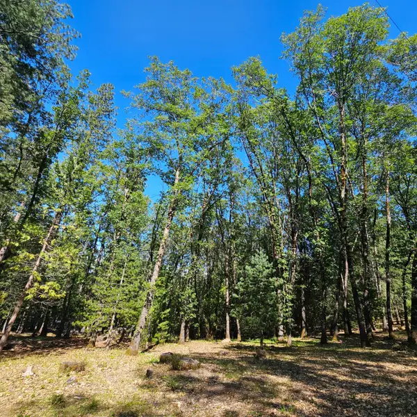 15367 Lakewood Lane, Grass Valley, CA 95945