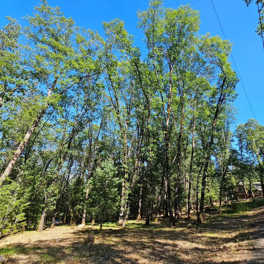 15367 Lakewood Lane, Grass Valley, CA 95945 - #3