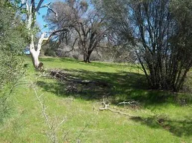 6866 Mosquito Road, Placerville, CA 95667 - #1