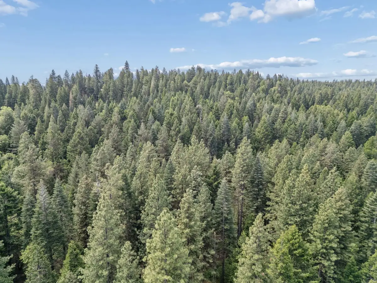 3354 Crocker Ranch Rd, Camino, CA 95709 - #1