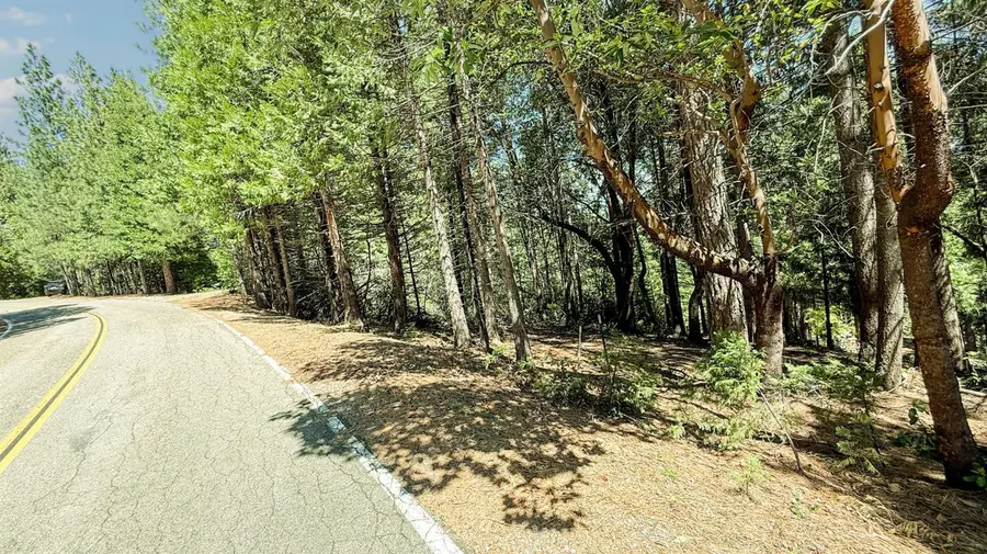18910 Circle View, Pioneer, CA 95666 - #3