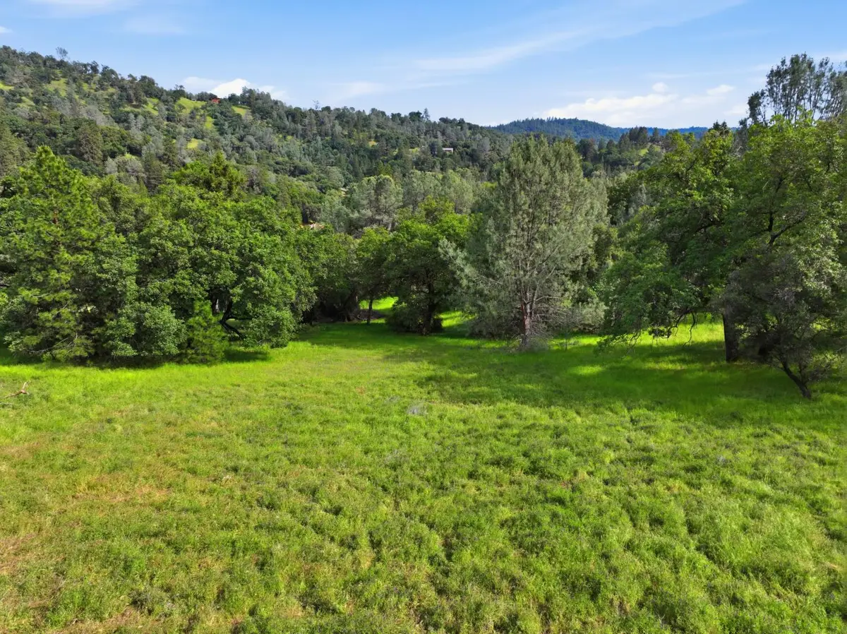 19371 Peyton Place, Grass Valley, CA 95949 - #1