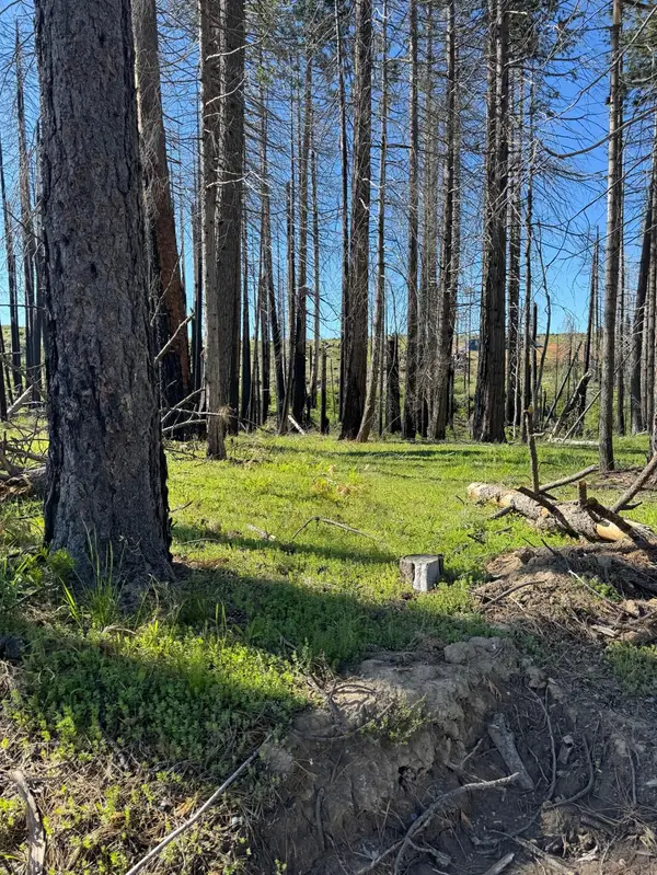 7601 Forest Glen Drive, Grizzly Flats, CA 95636