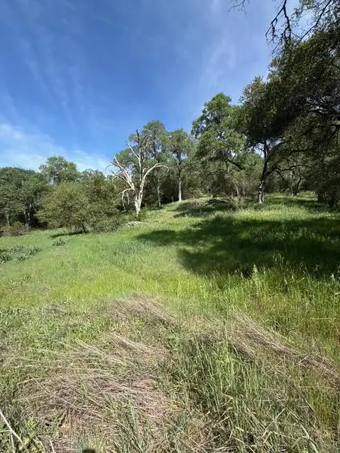 0 Mirinda Lane, Cool, CA 95614 - #2