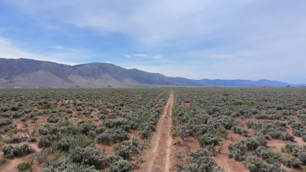 446 Honey Lake, Herlong, CA 96113