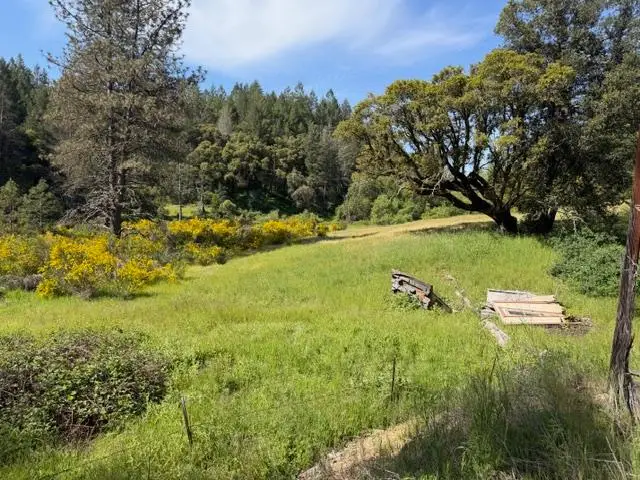 22460 Canyon Way, Colfax, CA 95713 - #2