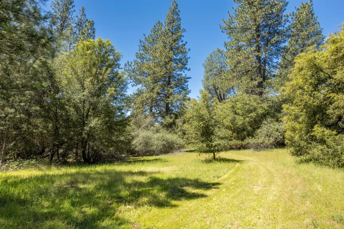 7381 Nutmeg Lane, Placerville, CA 95667 - #1