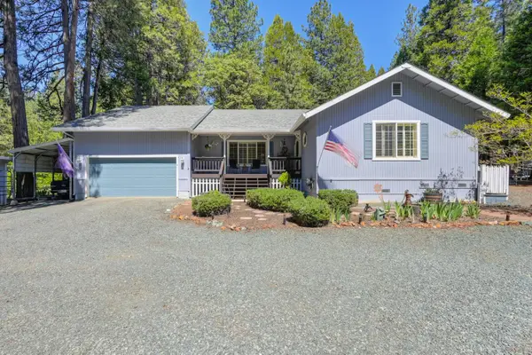 20000 Circle View Drive, Pioneer, CA 95666