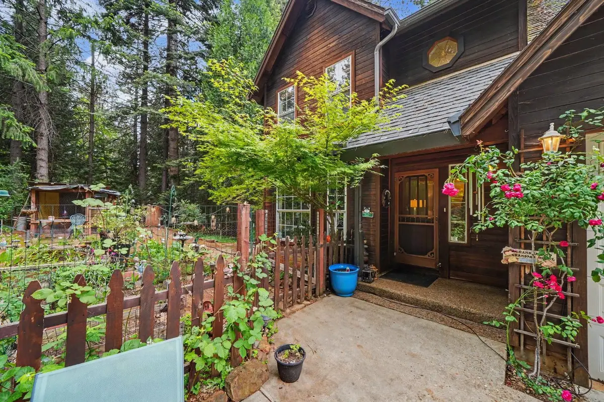 19050 Circle View Drive, Pioneer, CA 95666 - #1