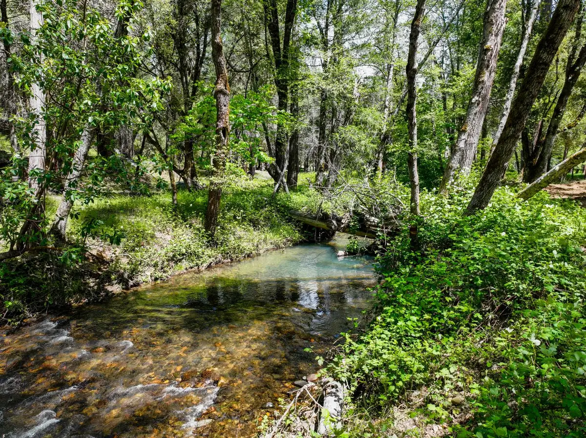 20493 Rector Road, Nevada City, CA 95959 - #1