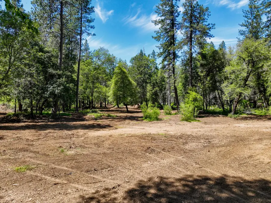 20493 Rector Road, Nevada City, CA 95959 - #2