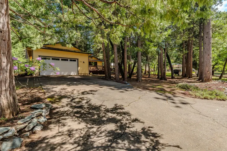 23901 Carson Drive, Pioneer, CA 95666 - #3