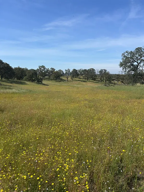 0 Matthews Road, Wheatland, CA 95692