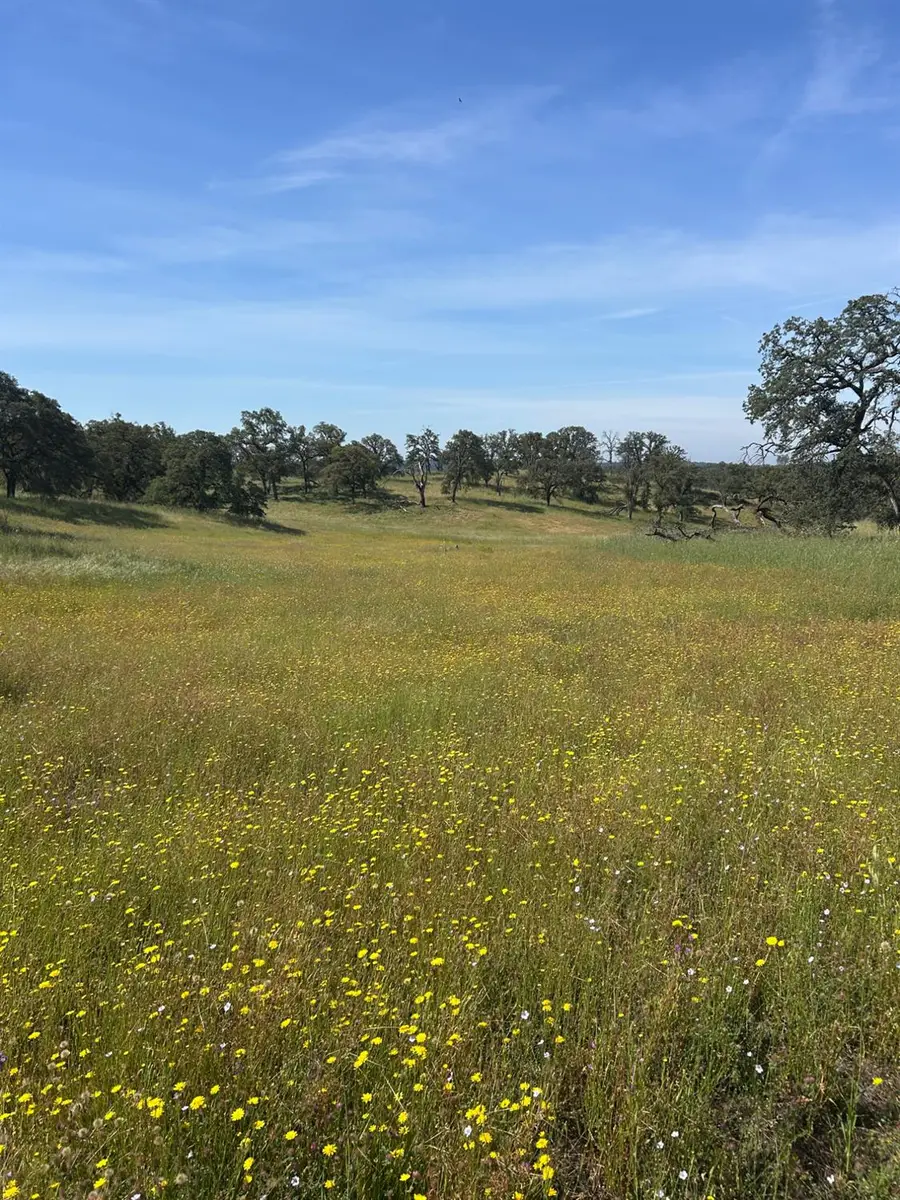 0 Matthews Road, Wheatland, CA 95692 - #2