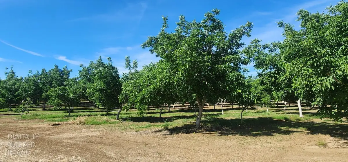 0 George Road, Williams, CA 95987 - #1