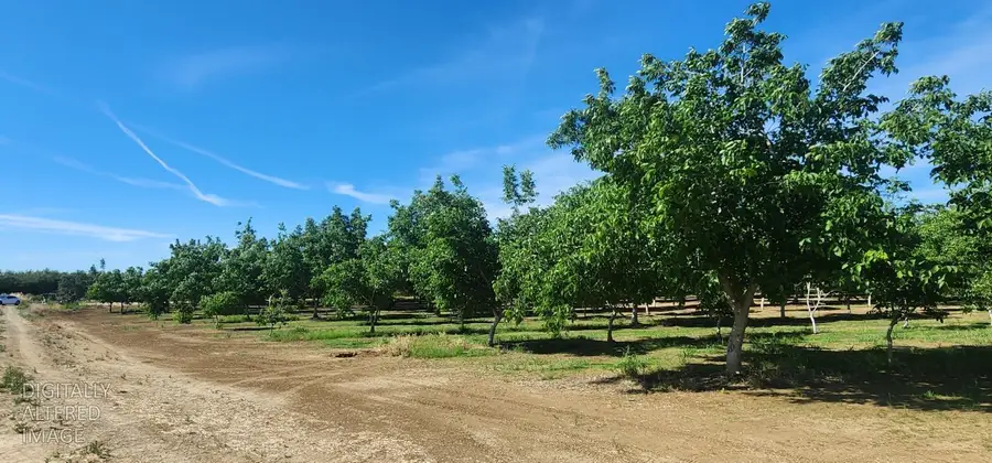 0 George Road, Williams, CA 95987 - #2