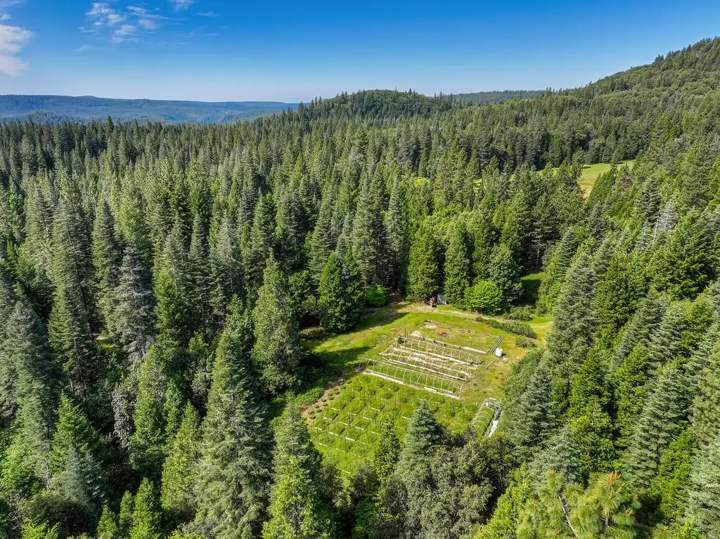 1535 Derbec Road, Nevada City, CA 95959 - #1