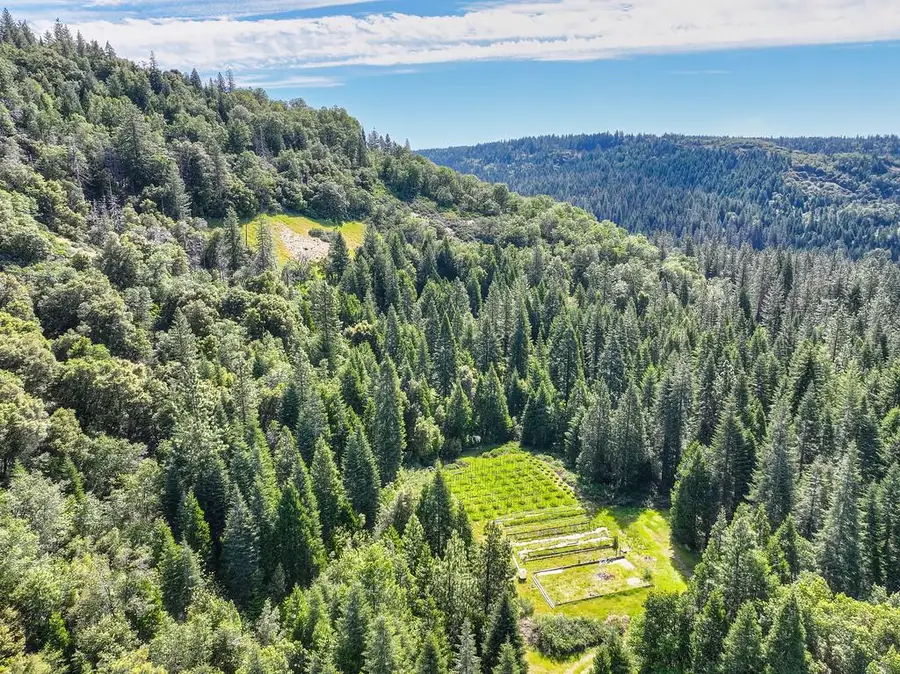 1535 Derbec Road, Nevada City, CA 95959 - #3