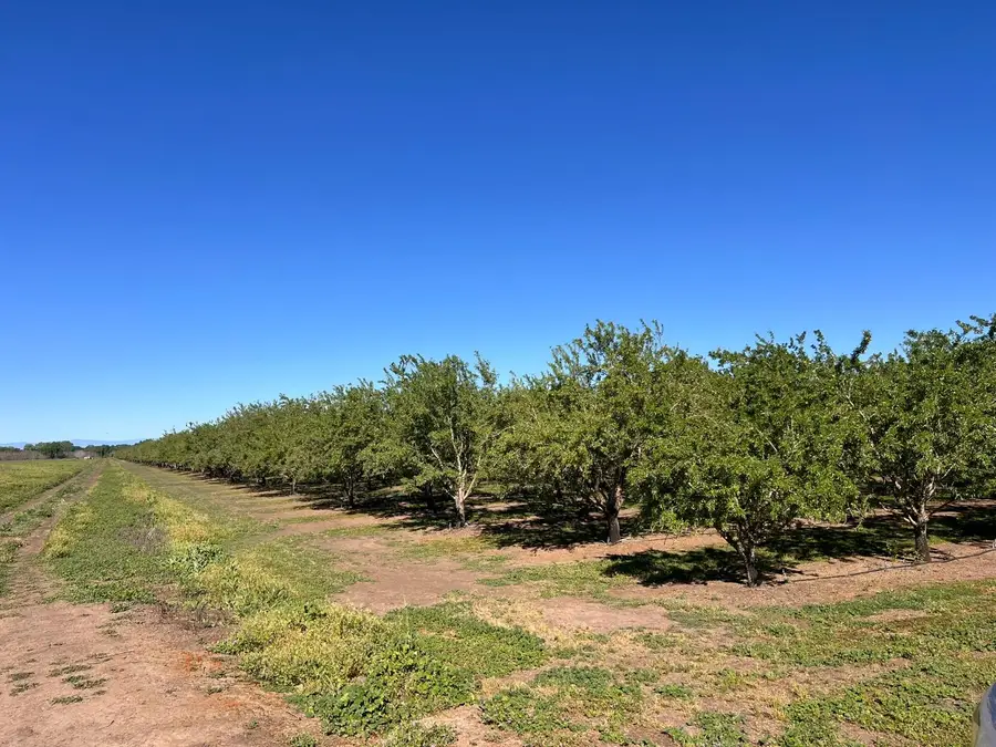5000 Ord Ferry, Chico, CA 95928 - #3