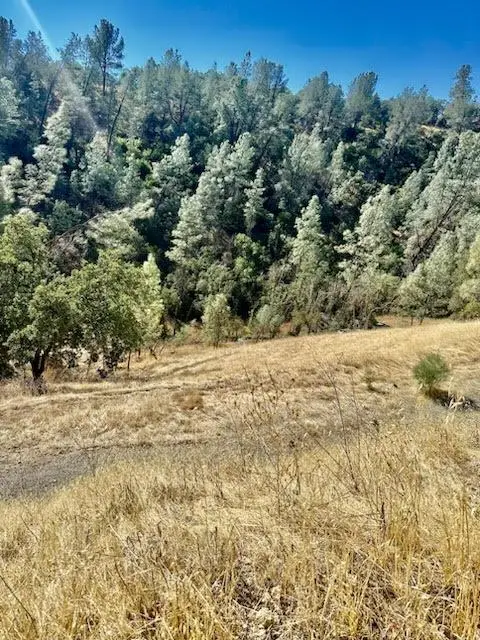 6883 Navajo Point, Corning, CA 96021 - #2