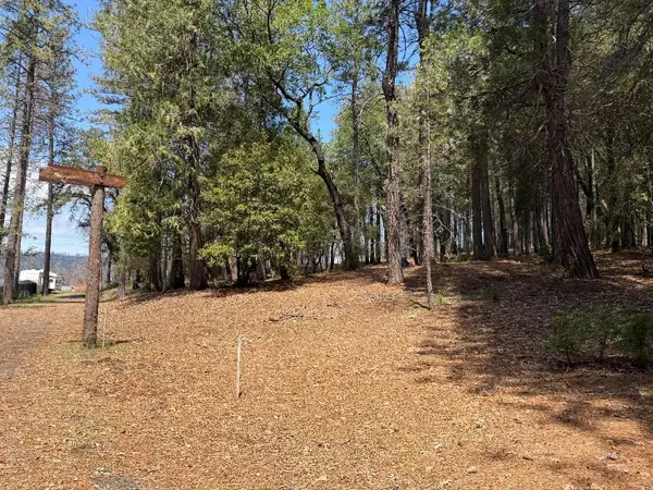 4631 Dear Abby Road, Forest Ranch, CA 95942